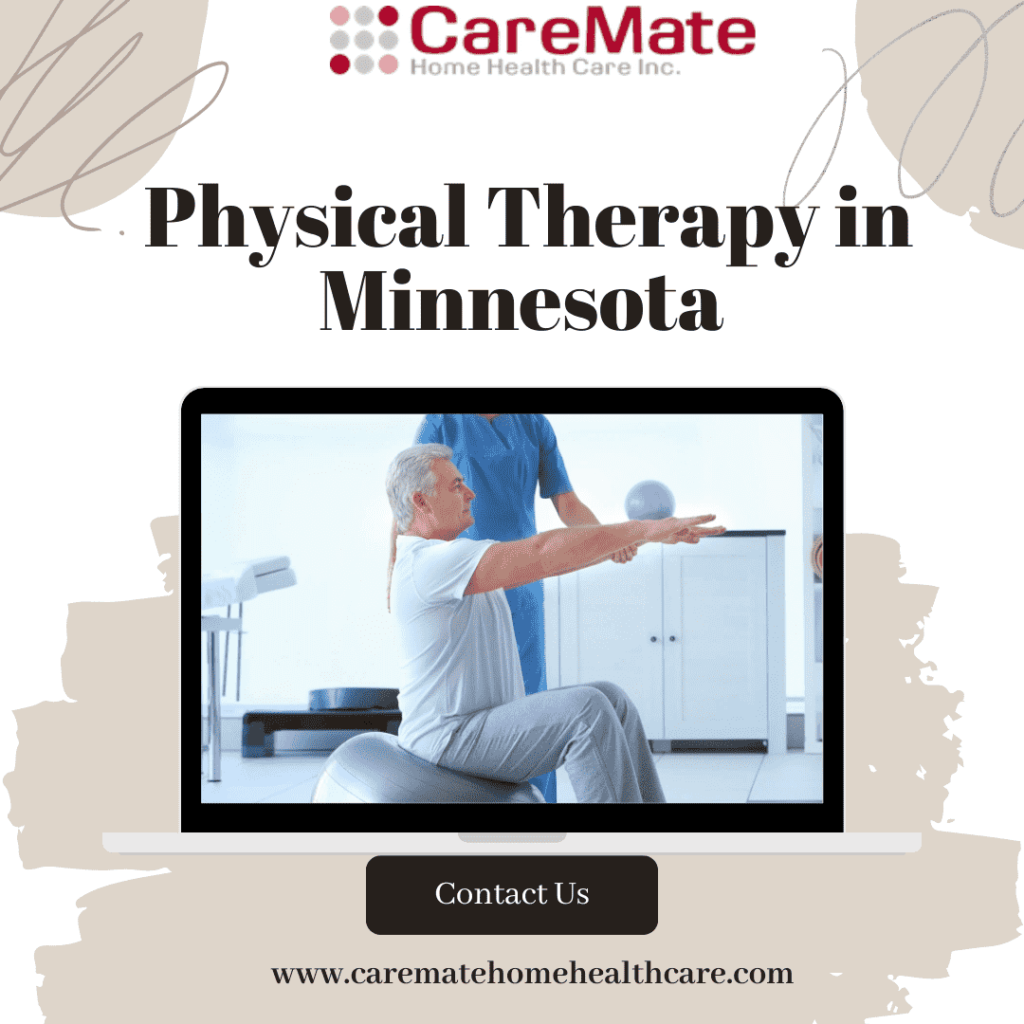 Physical Therapy in Minnesota