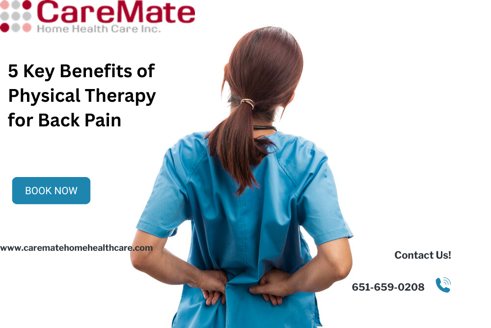 physical therapy in minnesota
